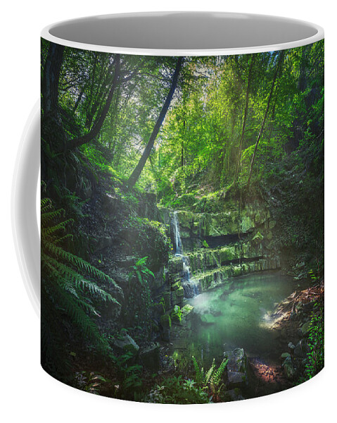 Waterfall Coffee Mug featuring the photograph Waterfall inside a forest. Chianni, Tuscany by Stefano Orazzini
