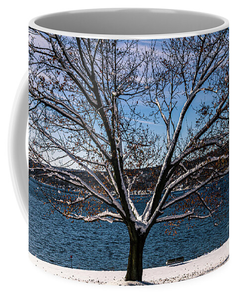 Tree Coffee Mug featuring the photograph Waterfront Frosting by William Norton
