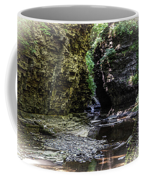 Gorge Coffee Mug featuring the photograph Watkins Glen State Park 9 by William Norton