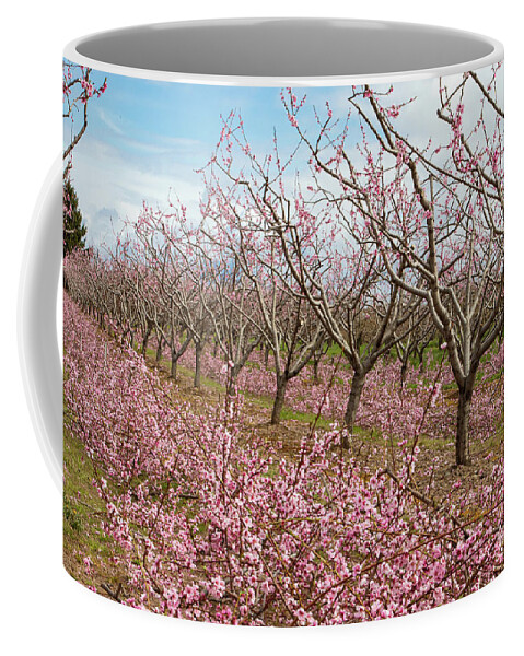 Blossoms Coffee Mug featuring the photograph Waves of Pink by Marilyn Cornwell