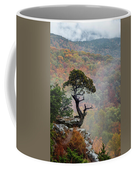 Magazine Mountain Coffee Mug featuring the photograph Weathered Cedar by James Barber