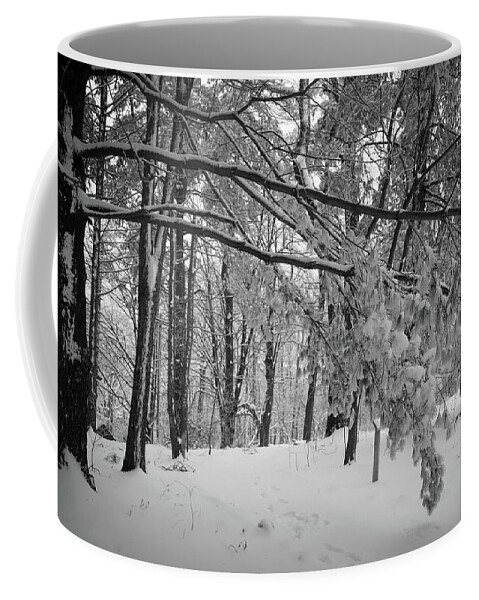 Snowfall Coffee Mug featuring the photograph Weight of the Snow by Deb Beausoleil