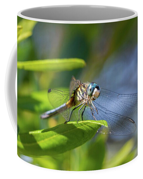 Dragonfly Coffee Mug featuring the photograph Welcome to My World by Liza Eckardt