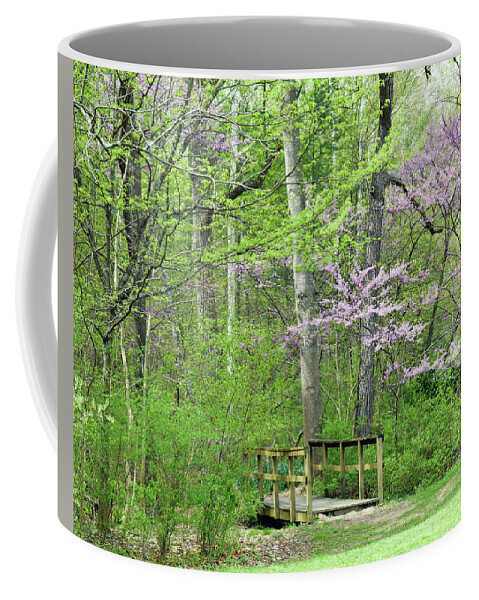 Trees Coffee Mug featuring the photograph Welcome to Spring in the Forest by Roberta Byram