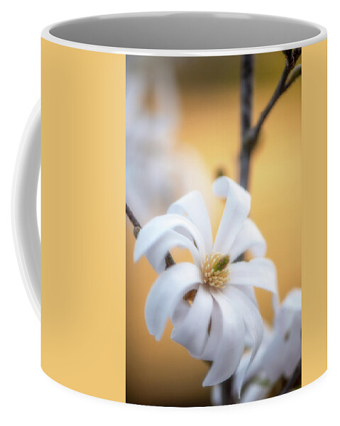 Flowers Coffee Mug featuring the photograph Welcome To The Story by Philippe Sainte-Laudy