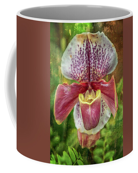 Orchids Coffee Mug featuring the photograph Welcoming Lady Slipper Orchid by Cate Franklyn