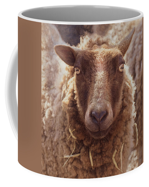 Farm Animal Coffee Mug featuring the photograph Well Hello There by Sylvia Goldkranz
