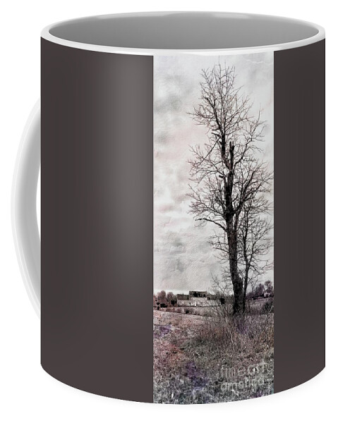 Nature Coffee Mug featuring the photograph Wells, ME by Marcia Lee Jones