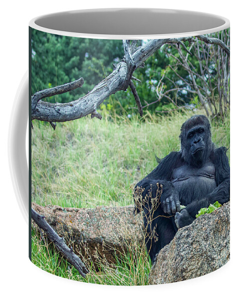 Western Lowland Gorilla Coffee Mug featuring the photograph Western Lowland Gorilla by Shirley Dutchkowski