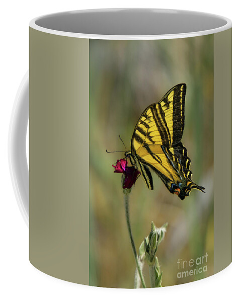 Western Tiger Swallowtail Coffee Mug featuring the photograph Western Tiger Swallowtail #2 by Nancy Gleason