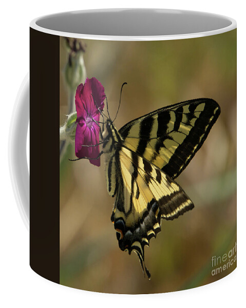 Western Tiger Swallowtail Coffee Mug featuring the photograph Western Tiger Swallowtail Butterfly Clings to Wildflower by Nancy Gleason