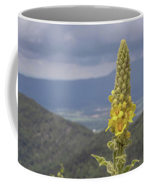 Flower Coffee Mug featuring the photograph Wet and Woolly - Shenandoah National Park by Susan Rissi Tregoning