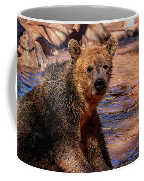Sedona Coffee Mug featuring the photograph Wet Bear by Al Judge