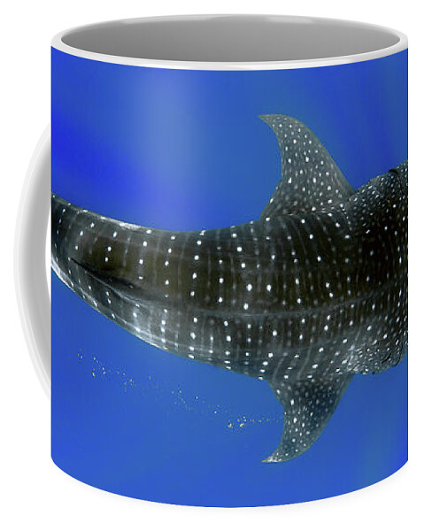 Whale Shark Coffee Mug featuring the photograph Whale shark by Artesub