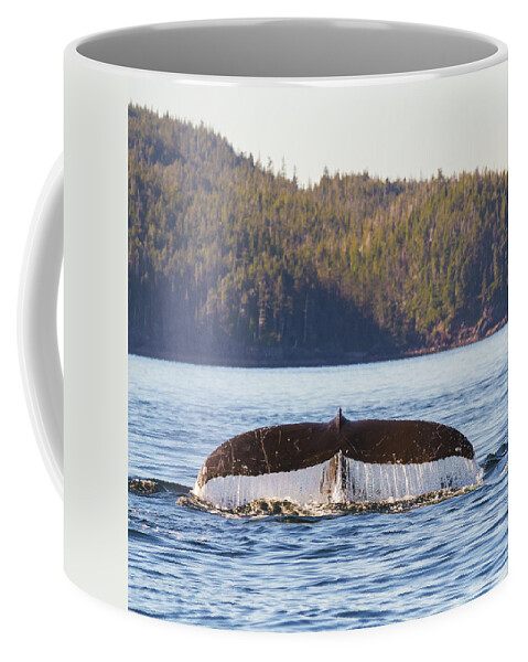 Whale Tale Coffee Mug featuring the photograph Whale Tale 1 by Michael Rauwolf