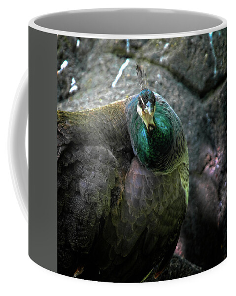 Peacock Coffee Mug featuring the photograph What Are You Lookin' At? by George Taylor