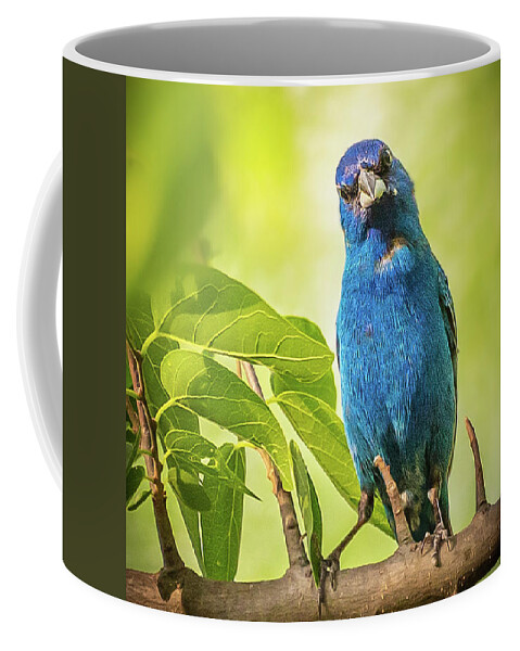 2018 Coffee Mug featuring the photograph Whatcha Lookin' At? by Erin K Images