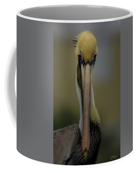 Pelican Coffee Mug featuring the photograph What's Up by JASawyer Imaging