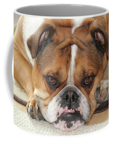 Bulldog Coffee Mug featuring the photograph When Will They Be Home by Linda Goodman