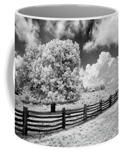 North Carolina Coffee Mug featuring the photograph Where Horses Roam bw by Dan Carmichael