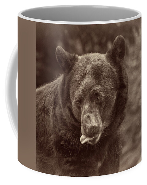 Bear Coffee Mug featuring the photograph Where Is My Honey-Square by John Kirkland
