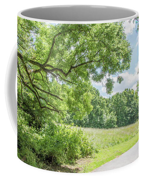 Whetstone Stray Coffee Mug featuring the photograph Whetstone Stray Trees Summer by Edmund Peston