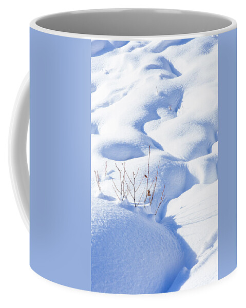 Altitude Coffee Mug featuring the photograph Whispers of Winter by Benoit Bruchez