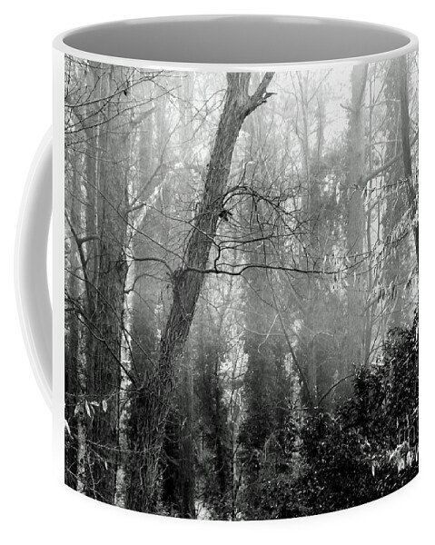 Fog Coffee Mug featuring the photograph Whitby65 Floodplain Forest by Lizi Beard-Ward