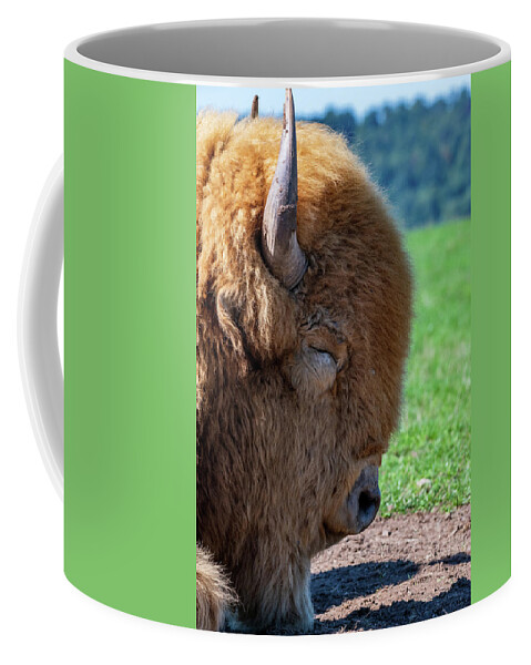 Nature Coffee Mug featuring the photograph White American Bison by Rose Guinther