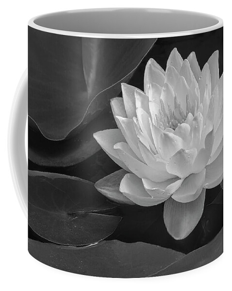 Waterlily Coffee Mug featuring the photograph White and Gold Waterlily BW by Susan Candelario