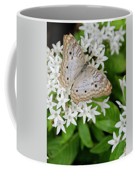 Butterfly Coffee Mug featuring the photograph White Butterfly on White Flowers by WAZgriffin Digital