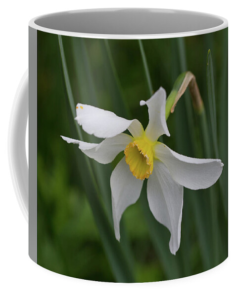 Flower Coffee Mug featuring the photograph White Flower by David Beechum