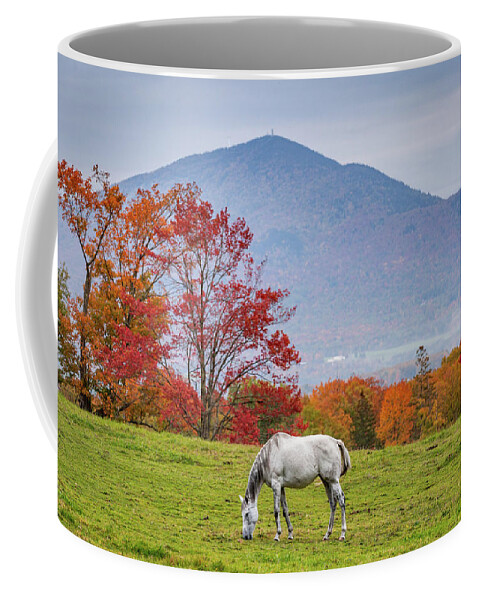 Vermont Coffee Mug featuring the photograph White Horse in Fall by Tim Kirchoff