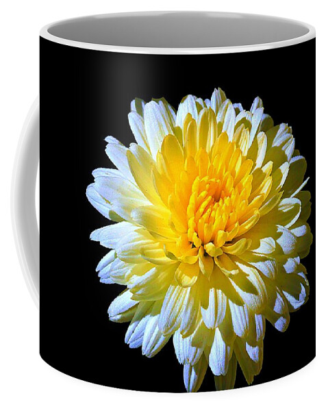 Flower Coffee Mug featuring the photograph White Mum by Steve Warnstaff