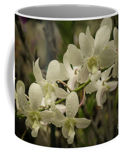 Hawaii Coffee Mug featuring the photograph White Orchid Blossoms Close-up by Nancy Gleason