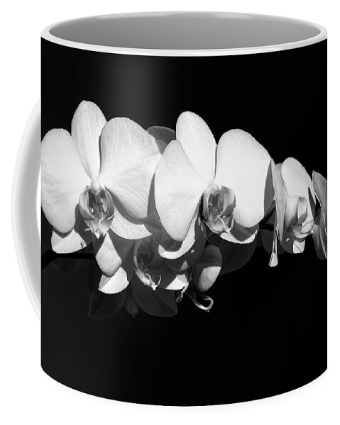 Flower Coffee Mug featuring the photograph White Orchid Phalaenopsis Amabilis Flower Petal by John Williams