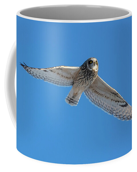 Owl Coffee Mug featuring the photograph White Owl Flying by William Jobes