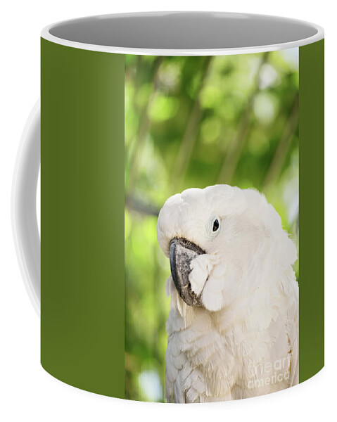 Parrot Coffee Mug featuring the photograph White parrot by Mendelex Photography