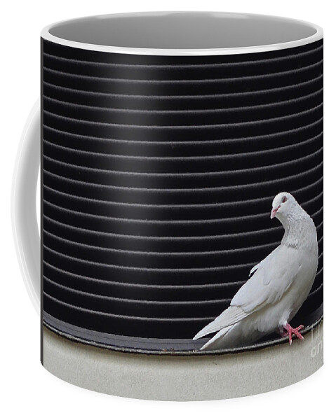 White Coffee Mug featuring the photograph White Pigeon Oahu by Ron Long
