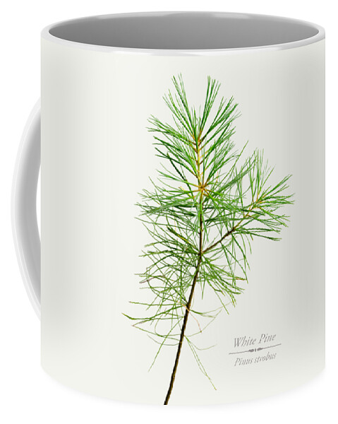 White Pine Coffee Mug featuring the mixed media White Pine by Christina Rollo