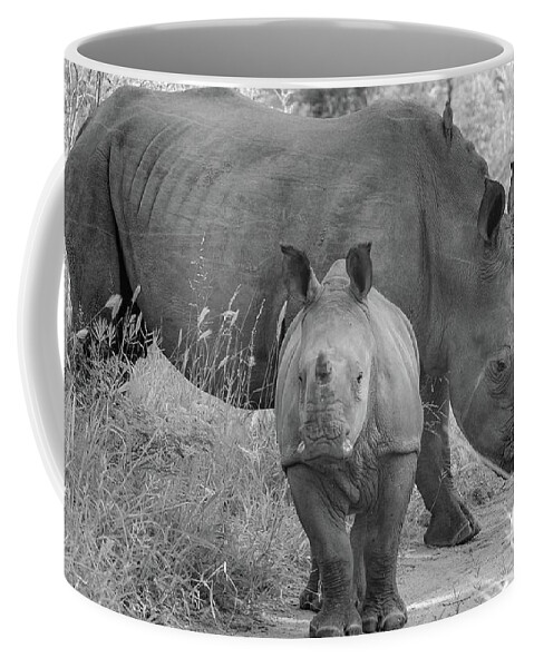 Rhino Coffee Mug featuring the photograph White Rhino and Calf by Rebecca Herranen