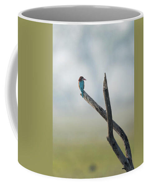White-throated Kingfisher Coffee Mug featuring the photograph White-throated Kingfisher Resting by Puttaswamy Ravishankar