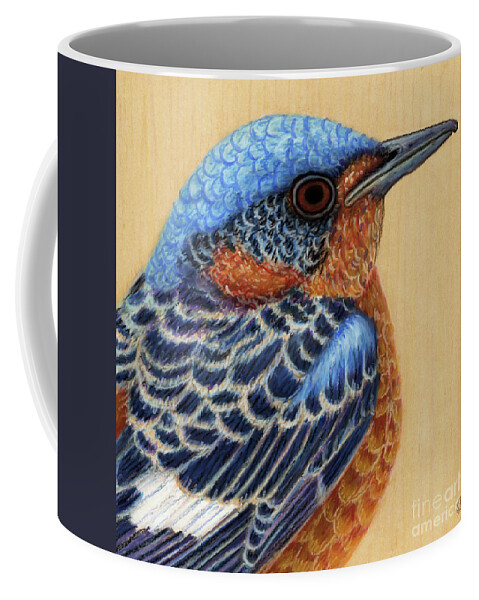 Bird Coffee Mug featuring the painting White Throated Rock Thrush by Amy E Fraser