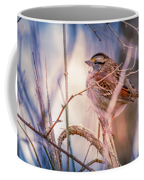 Sparrow Coffee Mug featuring the photograph White-throated Sparrow by Allin Sorenson
