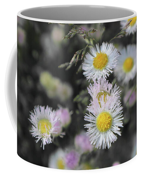White Coffee Mug featuring the photograph White Wild Flowers by Kenneth Pope