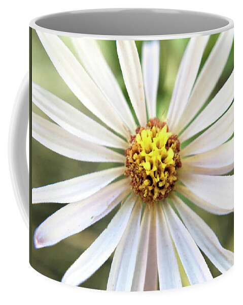 Wildflower Coffee Mug featuring the photograph White Wildflower Macro by K Bradley Washburn