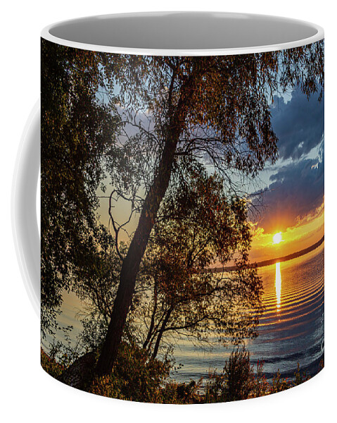 Sunrise Coffee Mug featuring the photograph Who Needs the Tropics by William Norton
