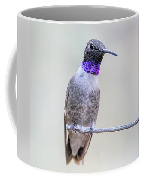 American Southwest Coffee Mug featuring the photograph Who You? by James Capo