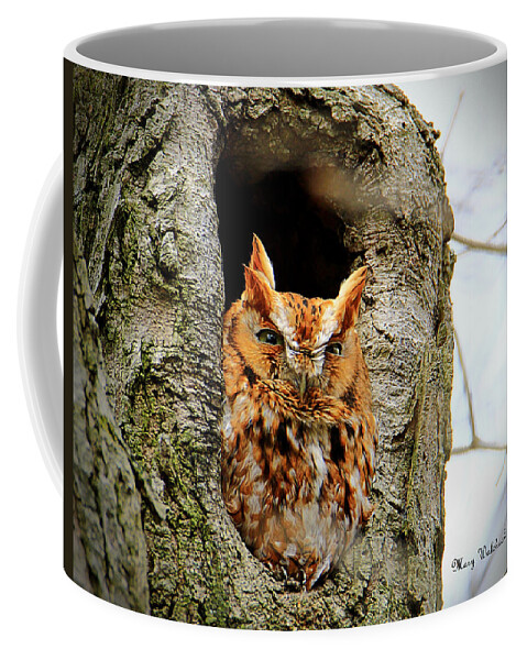 Eastern Screech Owl Red Morph Coffee Mug featuring the photograph Whooo are You by Mary Walchuck
