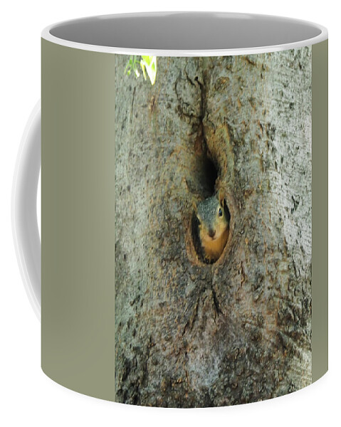 Squirrel Coffee Mug featuring the photograph Who's There by C Winslow Shafer